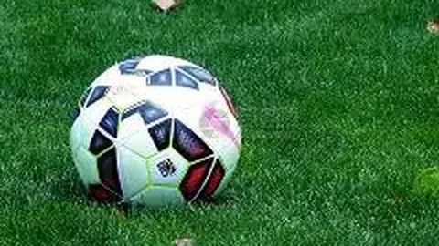 许光汉直言愿做富豪家的宠物犬，仅需享受吃睡无忧