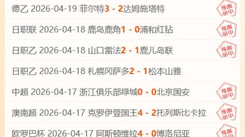 霍芬海姆主场对阵残阵美因茨，欧冠资格赛临近专家预测